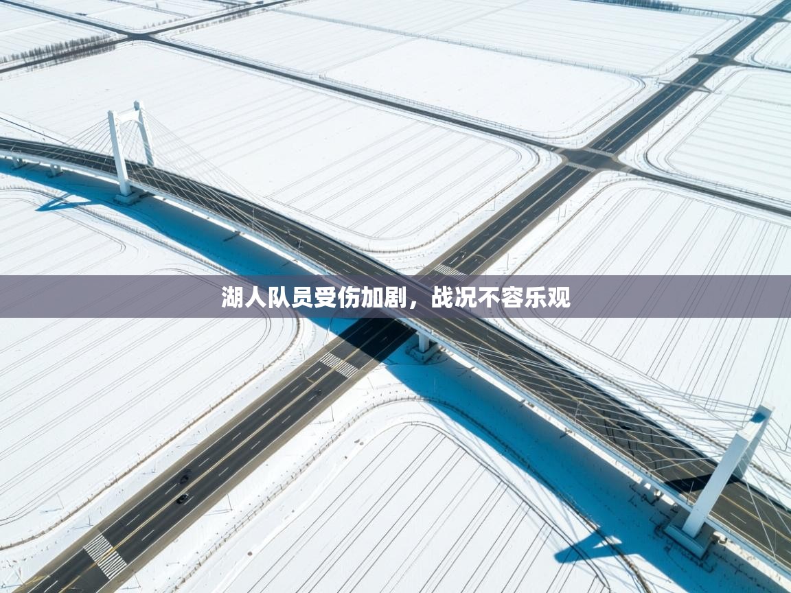 湖人队员受伤加剧,战况不容乐观 第1张