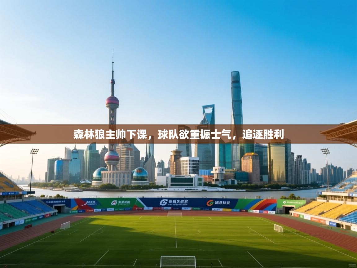 森林狼主帅下课，球队欲重振士气，追逐胜利