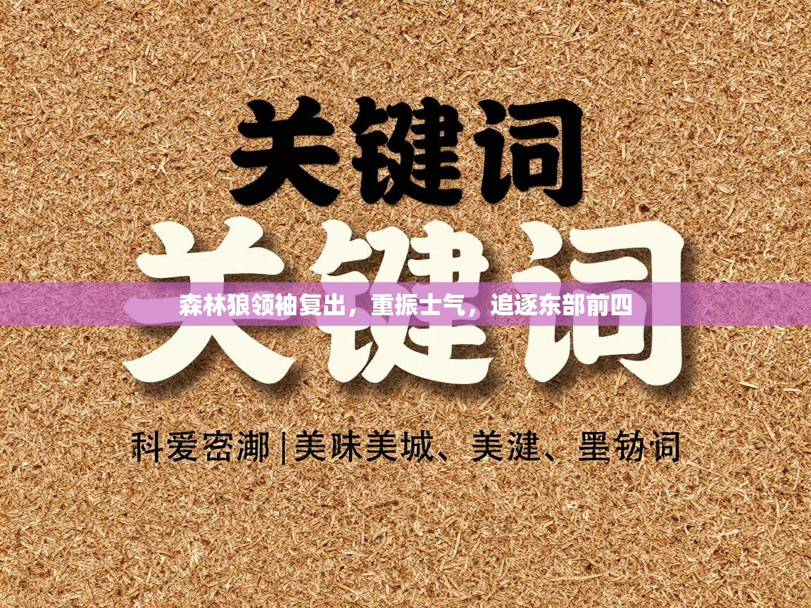 森林狼领袖复出，重振士气，追逐东部前四